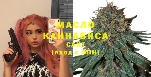 гидропоника Горняк