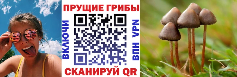Псилоцибиновые грибы мухоморы  купить   Волчанск 